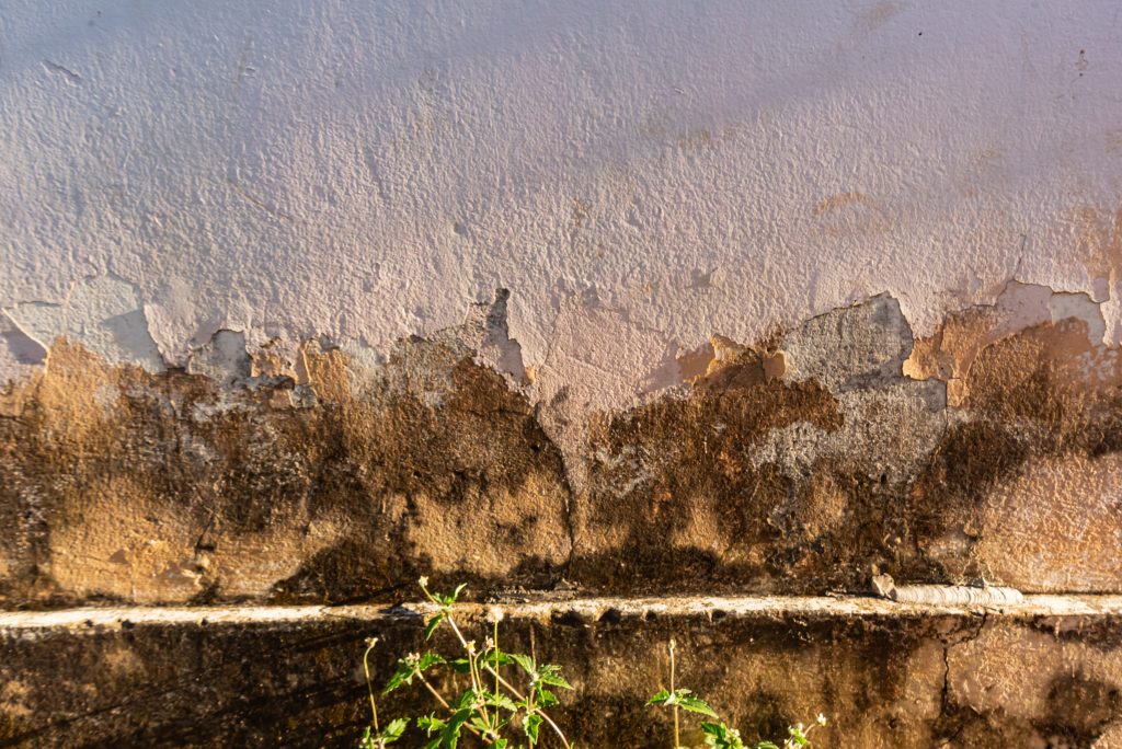 Beispielbild: Feuchtigkeitsspuren und beschädigter Putz an einer Wand