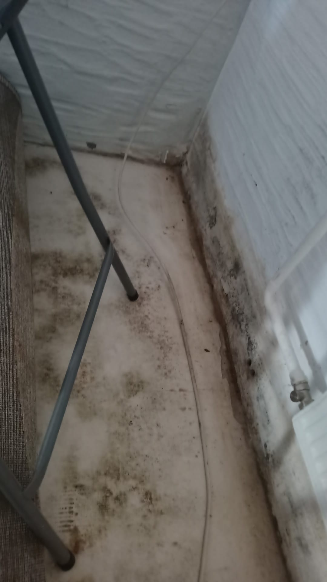Unterer Wandbereich mit dunklen Verfärbungen vor der Horizontalsperre in Bliesransbach
